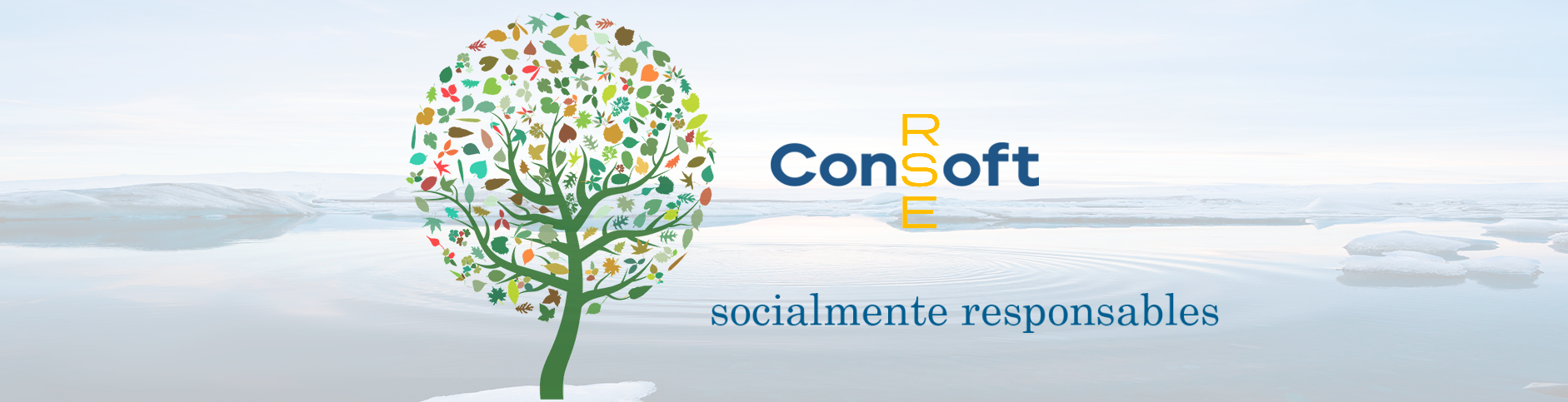 RSE_Banner